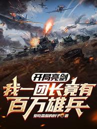 我一团长竟有百万雄兵张云清赵刚 第531章