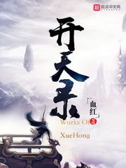 开天录多少字